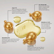 ORA GOLD N°1 Shield
